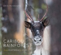 Caribou Rainforest Cover