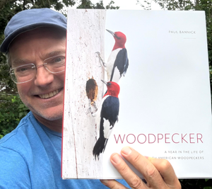 Paul Bannick_Woodpecker.png
