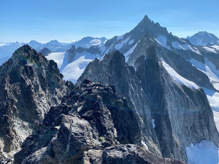 Beta and Brews: Torment-Forbidden Traverse