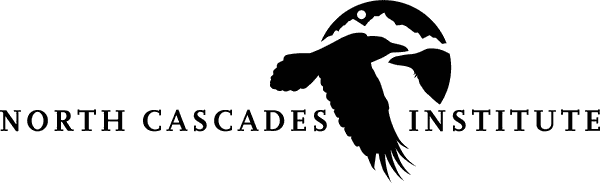 NCI Logo - horizontal Black.png