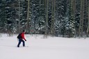 Seattle Snowshoeing Season Kickoff Social