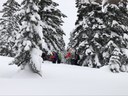 CANCELED - Basic Snowshoe Course Lecture