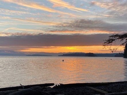 The Gear Library Presents: Pause.