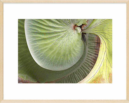 sjphoto-show.gif sjphoto-show.gif