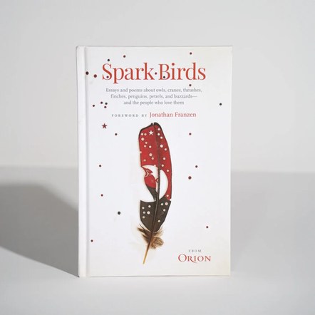Seattle Branch Book Club: Spark Birds
