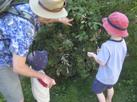 CANCELED - Mini Mountaineers: Colors in Nature