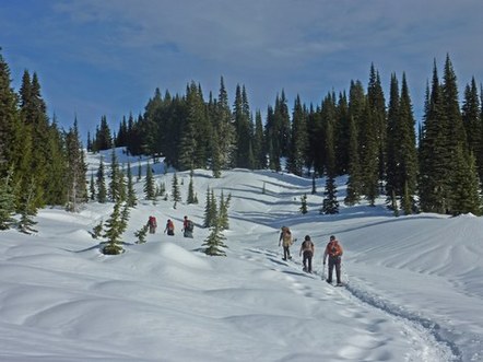 Snowshoe Summit - all branches