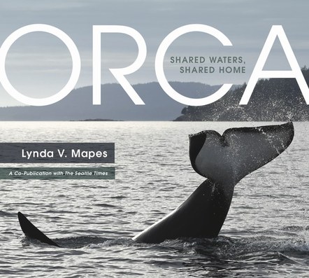 Orcas and Salmon: In Dialogue with Lynda Mapes of the Seattle Times