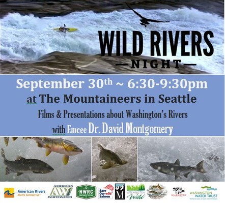 Seattle Wild Rivers Night