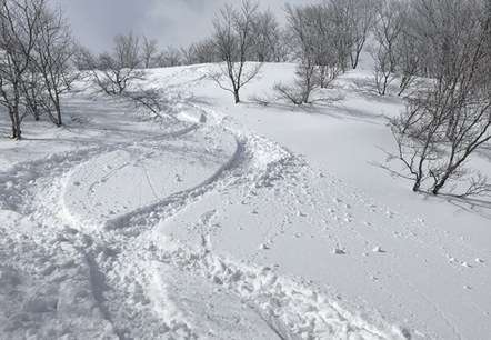 Powder  Skiing  on  Hokkaido, Japan