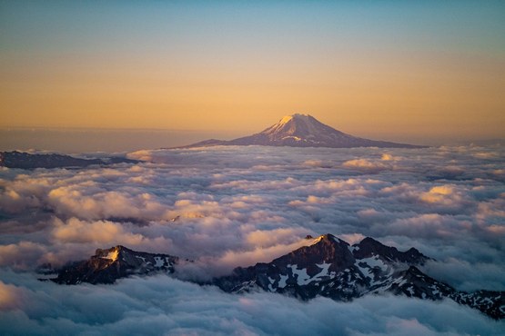 Seattle Branch Volunteer Appreciation Banquet - Celebrating 2025