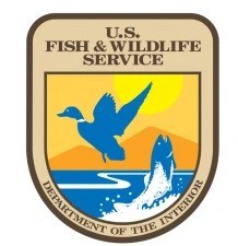 Screenshot 2025-01-02 105314.jpg