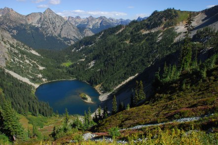 Conservation & Advocacy Town Hall