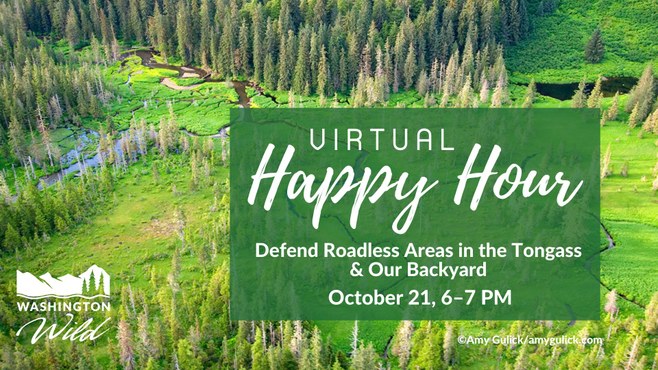 Virtual Happy Hour: Defend Roadless Areas in the Tongass & Our Backyard