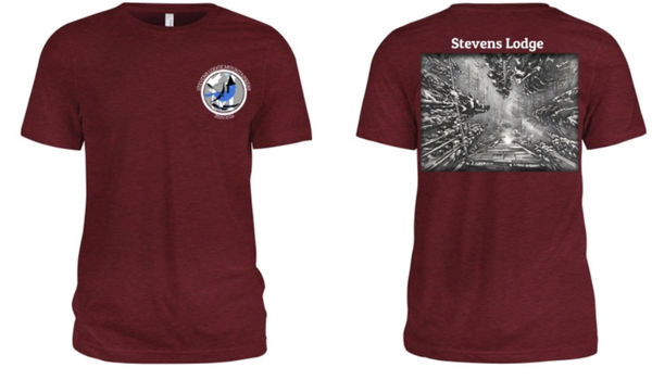 Stevens Lodge T-shirt Ullr Bluebird 2025-26