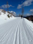 Tacoma Cross-country Skiing Committee