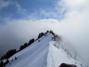Tacoma Alpine Scrambling Program