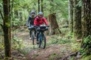 Tacoma Bikepacking Committee