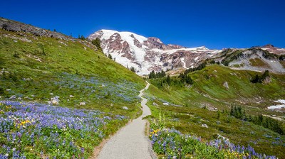 Conditioning Hiking Series - Tacoma - 2021