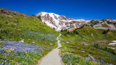 Conditioning Hiking Series - Tacoma - 2022