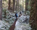 Winter Hiking Series: I-90 Alley January Hikes - West Tiger Mountain No. 3