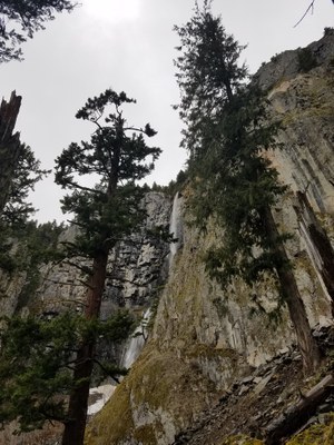 Field Trips - Geology Rocks! - Snoquera Falls Loop