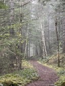 Intro to Backpacking Field Trip - Lower Big Quilcene
