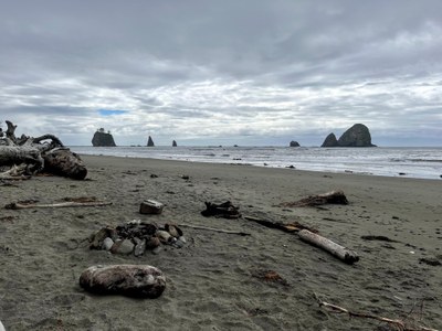 Intro to Backpacking Field Trip - Olympic Coast South: The Wildcatter Coast