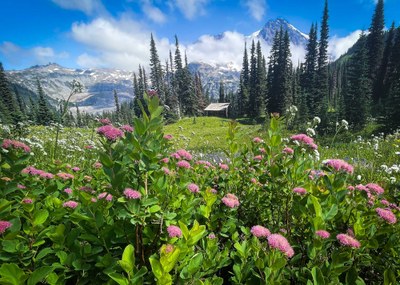Intro to Backpacking Field Trip - Wonderland Trail: Longmire to Westside Road