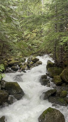 Spring Hiking Series: Olympic River Rambler Apr to May Hikes - Big Creek Loop