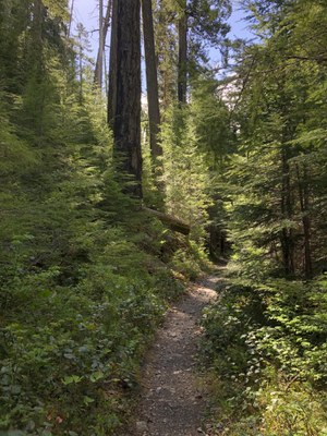 Spring Hiking Series: Olympic River Rambler Apr to May Hikes - Spike Camp