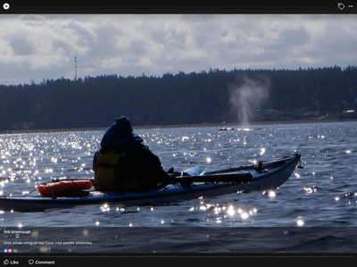Basic Sea Kayaking Course - Tacoma - 2023