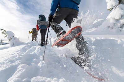 Basic Snowshoeing Field Trip