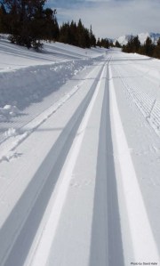 Tacoma Explorers Cross-Country Ski