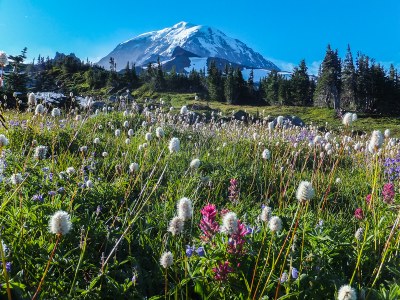 Summer Camp - Mountaineers at Mt. Rainier! - Tacoma