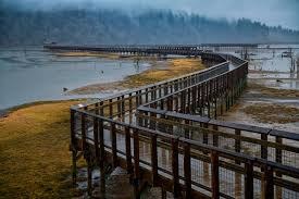 Adventure Activity - Billy Frank Jr. Nisqually National Wildlife Refuge