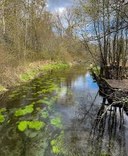 Nature Walk - Clark's Creek Park