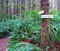 Nature Walk - Danville-Georgetown Trails