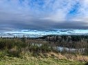 Nature Walk - Fort Steilacoom Park