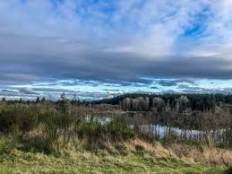Nature Walk - Fort Steilacoom Park