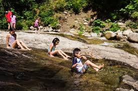 Nature Walk - Snoquera Falls Loop