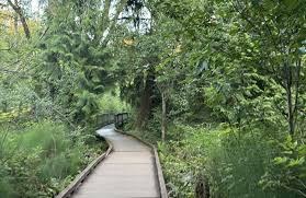 Nature Walk - West Hylebos Wetlands Park