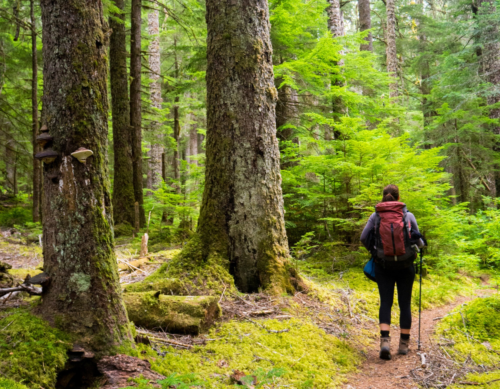 Hikers & Backpackers Picnic at the Park! — The Mountaineers