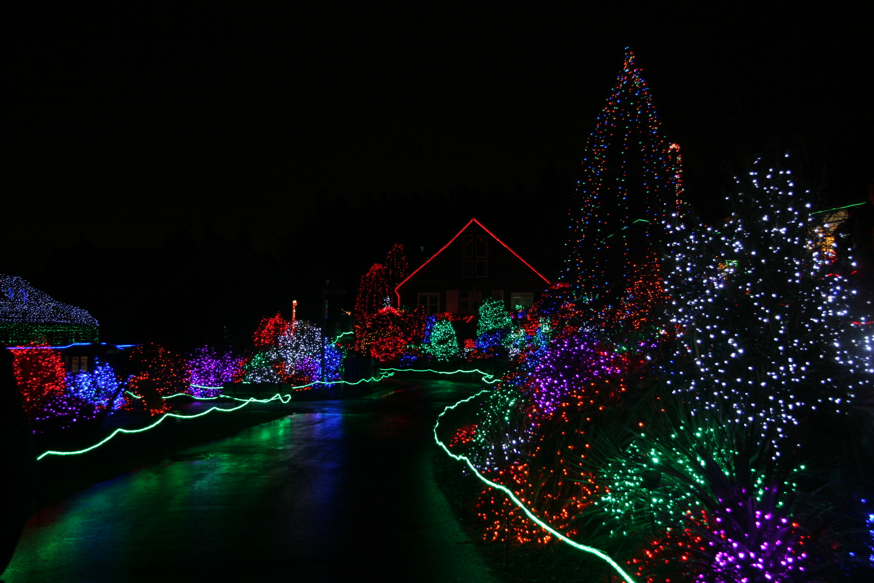 CANCELED Zoolights Photo Walk — The Mountaineers