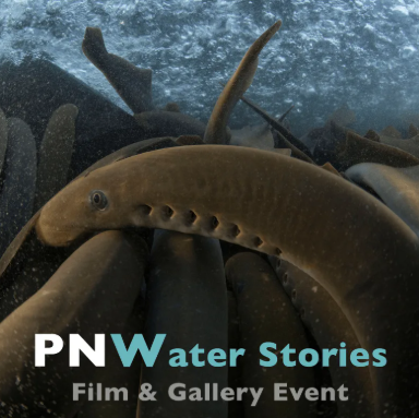 Freshwaters Illustrated Film Showing