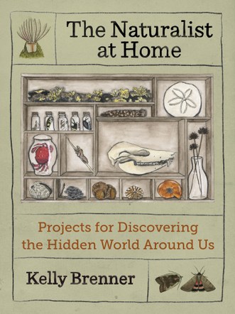 'The Naturalist at Home' Projects with Author Kelly Brenner