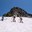 Seattle Scramble