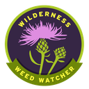 Wilderness Weed Watcher