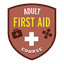 Adult First Aid Course