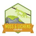 Moss & Lichen Course